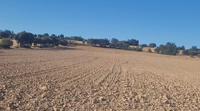 Segovia - Castillejo de Mesleón - 20000m2