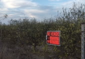 Земля на продажу у города Algorfa Фото