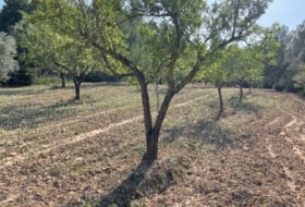 les Useres 4468&nbsp;m² 