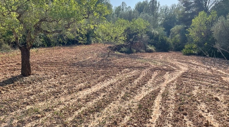 Castellón - Useras - 4468m2