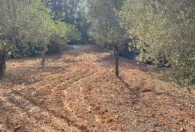 les Useres 4468&nbsp;m² 