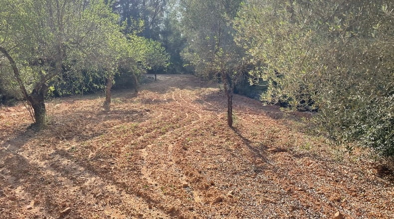 Castellón - Useras - 4468m2
