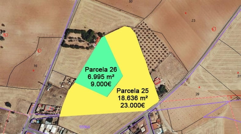 Ciudad Real - Torralba de Calatrava - 25631m2