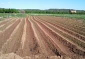 Terreny no urbanitzable en venda a la Polígono 3 Parcela 157 LA HISENDA. LA MASO (TARRAGONA), la Masó, ref.: TR107256 foto