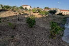 Fuentespreadas 1300&nbsp;m² 