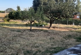 Fuentespreadas 1300&nbsp;m² 