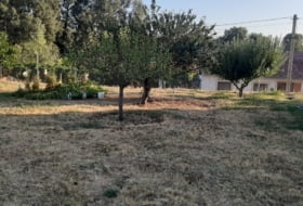 Fuentespreadas 1300&nbsp;m² 