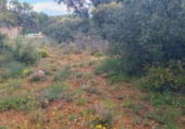 Sòl urbà en venda a la Calle Robles, Hontoba, ref.: TR107290 foto