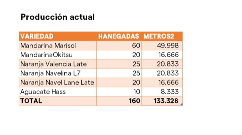 Alicante - l'Atzúbia - 133000m2