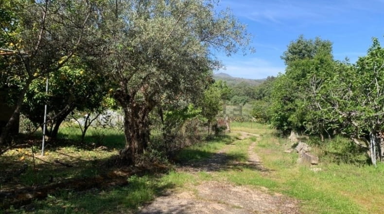 Cáceres - Jarandilla de la Vera - 24000m2