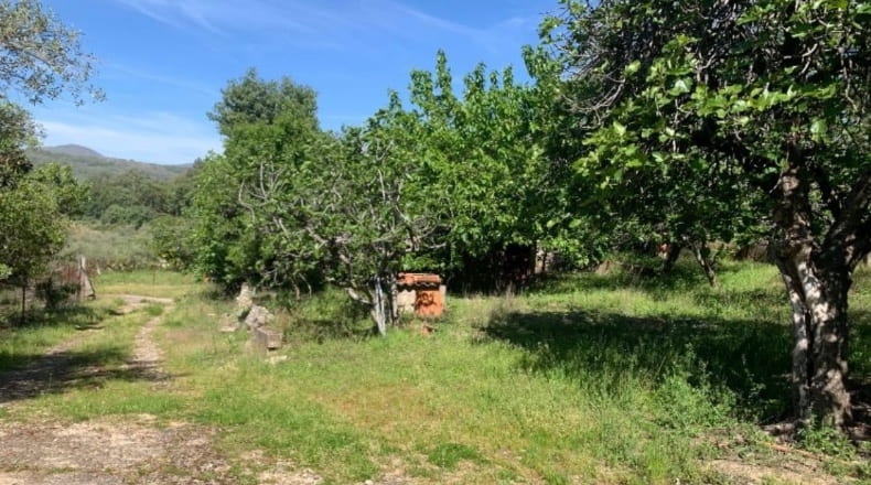 Cáceres - Jarandilla de la Vera - 24000m2