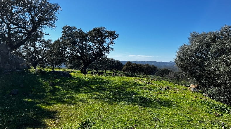 Sevilla - El Castillo de las Guardas - 7300000m2