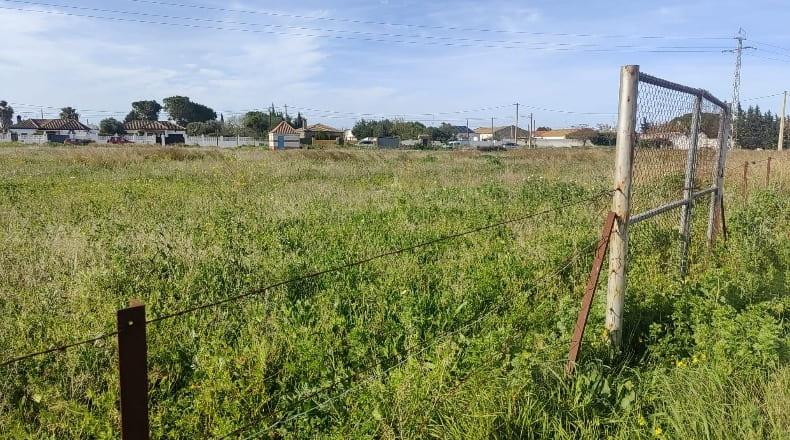 Cádiz - Pago del Humo - 500m2