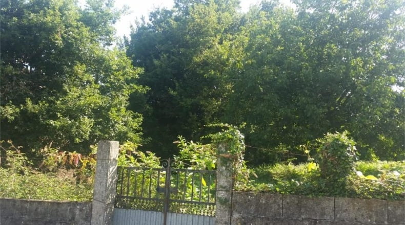 Pontevedra - Vilagarcía de Arousa - 445m2
