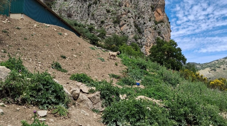 Málaga - Alfarnate - 860000m2