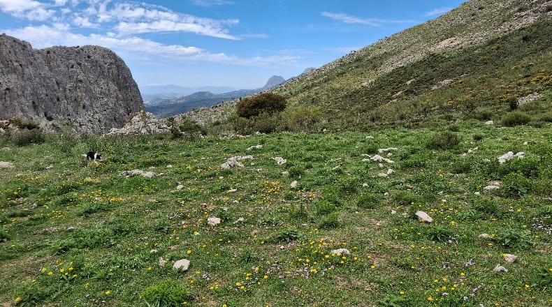 Málaga - Alfarnate - 860000m2