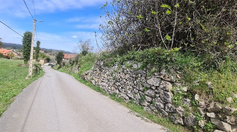Cantabria - Luey - 4815m2