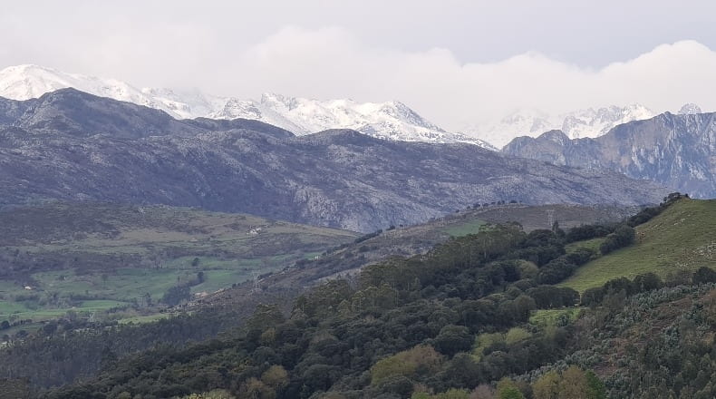Cantabria - Luey - 4815m2