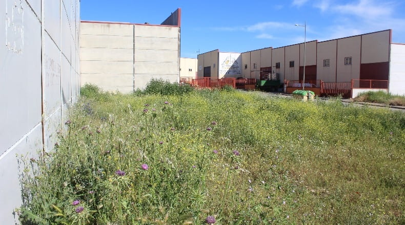 Toledo - Escalonilla - 553m2