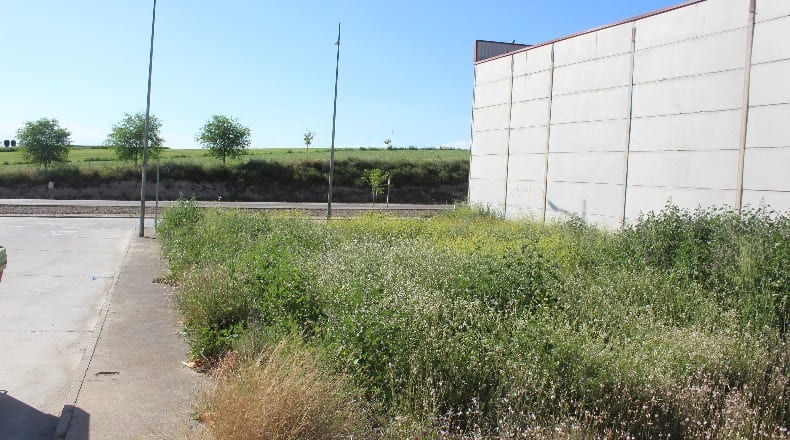 Toledo - Escalonilla - 553m2