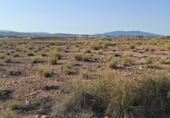 Non-developable land for sale on El Saladillo, Mazarrón, ref: TR107781 photo