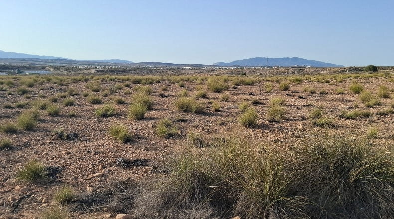 Murcia - Mazarrón - 149000m2