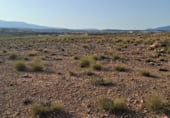 Non-developable land for sale on El Saladillo, Mazarrón, ref: TR107781 photo