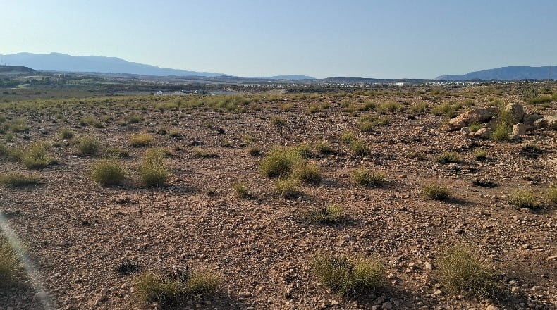 Murcia - Mazarrón - 149000m2