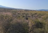 Non-developable land for sale on El Saladillo, Mazarrón, ref: TR107781 photo