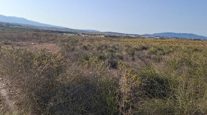 Murcia - Mazarrón - 149000m2
