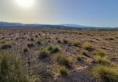 Non-developable land for sale on El Saladillo, Mazarrón, ref: TR107781 photo