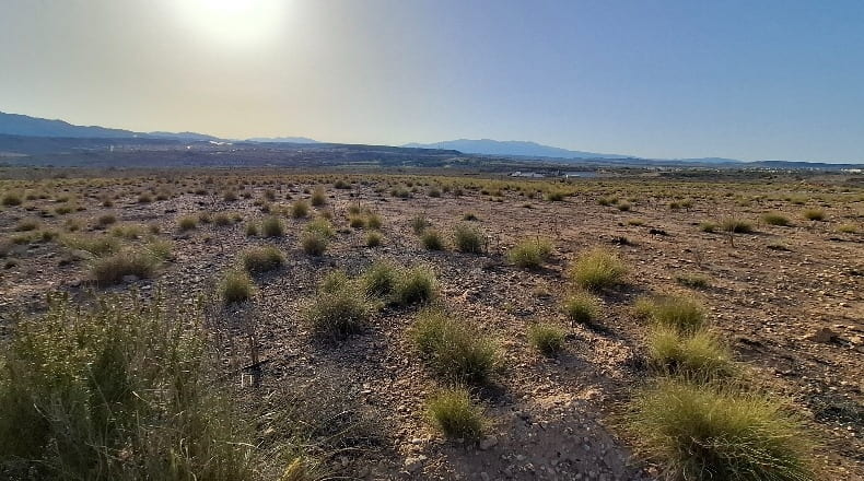 Murcia - Mazarrón - 149000m2
