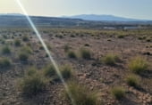 Non-developable land for sale on El Saladillo, Mazarrón, ref: TR107781 photo