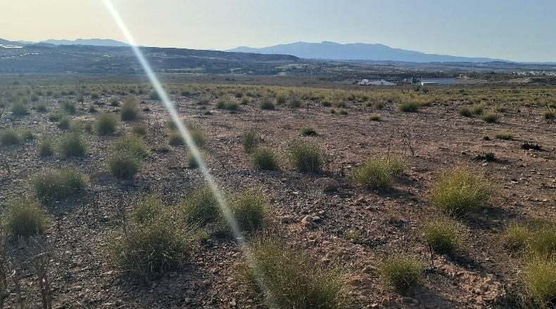 Murcia - Mazarrón - 149000m2