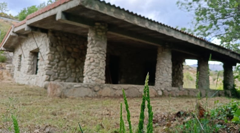 Ávila - Burgohondo - 729m2