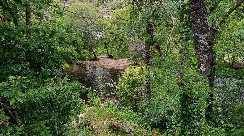 Ávila - Burgohondo - 729m2