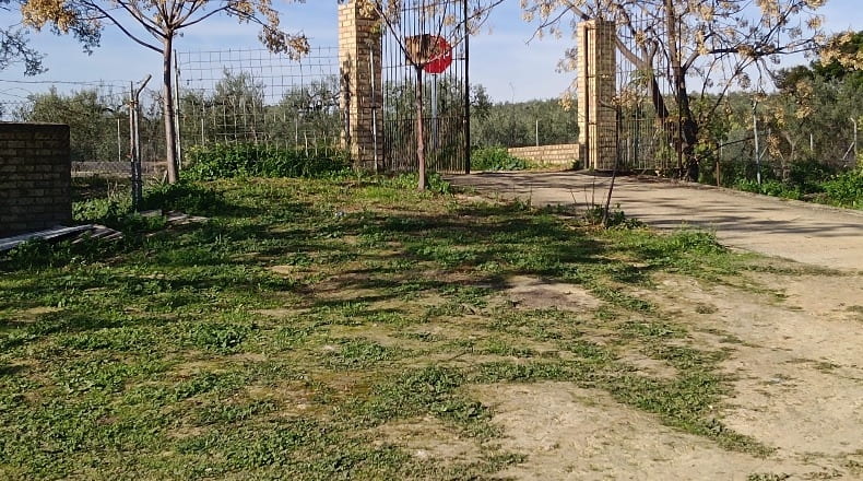 Sevilla - Pilas - 40000m2