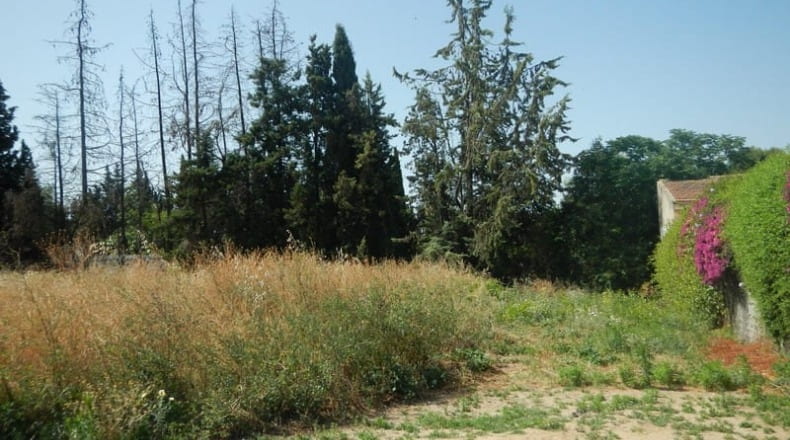 Sevilla - Espartinas - 325m2