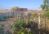 Finca rústica en venta en la Machacón, Casarrubios del Monte, ref: TR108139 foto