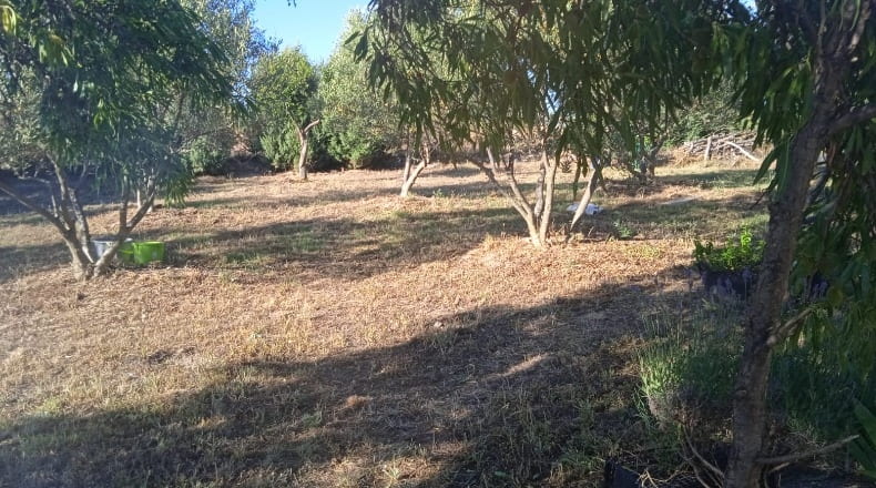 Toledo - Casarrubios del Monte - 2000m2