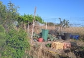 Finca rústica en venta en la Machacón, Casarrubios del Monte, ref: TR108139 foto