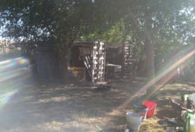 Foto 8