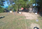 Finca rústica en venta en la Machacón, Casarrubios del Monte, ref: TR108139 foto