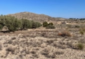 Non-developable land for sale on Camí de la Serra Vella, Monóvar, ref: TR108141 photo