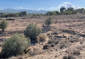 Non-developable land for sale on Camí de la Serra Vella, Monóvar, ref: TR108141 photo