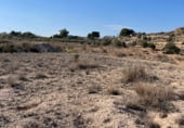Non-developable land for sale on Camí de la Serra Vella, Monóvar, ref: TR108141 photo