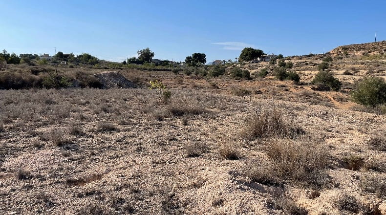 Alicante - Monóvar - 43236m2