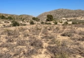 Non-developable land for sale on Camí de la Serra Vella, Monóvar, ref: TR108141 photo