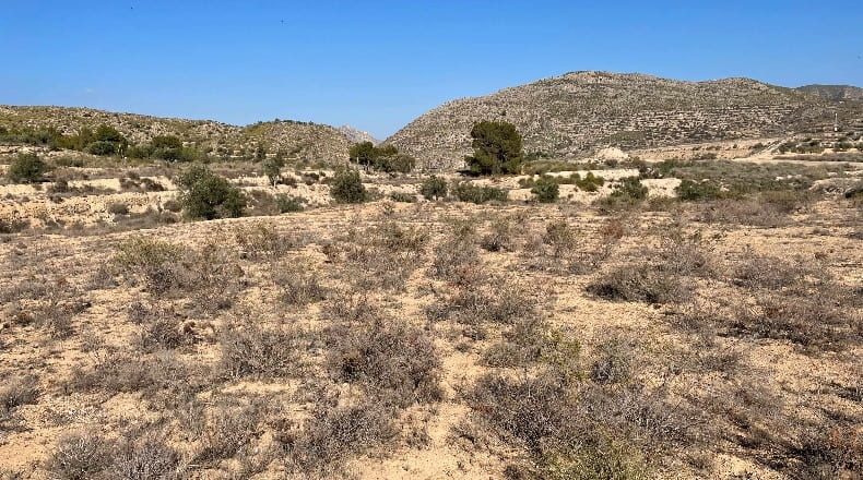 Alicante - Monóvar - 43236m2