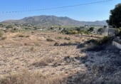 Non-developable land for sale on Camí de la Serra Vella, Monóvar, ref: TR108141 photo